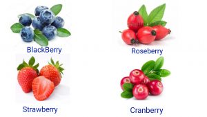STROBERRY,ROSEBERRY,CRANEBERRY AND BLACK BERRY PREVENTS CANCER
