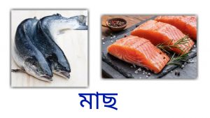 salmon fish prevents cancer