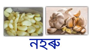 garlic as colon cancer preventing food