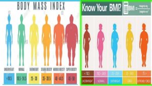 HUMAN BMI CALCULATION CHART