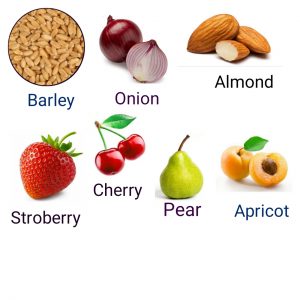 FRUITS NOT GOOD FOR HYPOTHYROIDSM