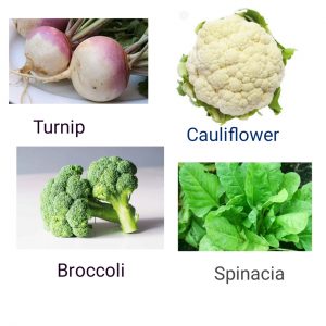 VEGETABLES NOT FIT FOR HYPOTHYROID PATIENT