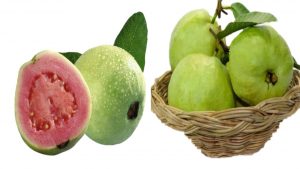 Guava improves eye sight