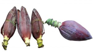 BANANA FLOWER IS A RICHEST SOURCE OF IRON