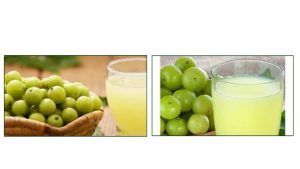 Gooseberry the best solution for night falls