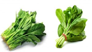 SPINACH CONTAINS IRON AND BOOST HEMOGLOBIN