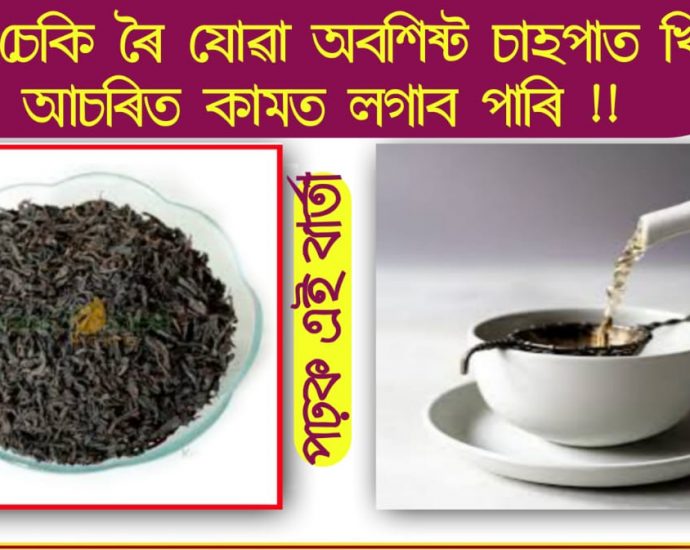 USES OF TEA LEAFS REMAINS AFTER PREPARATION OF TEA