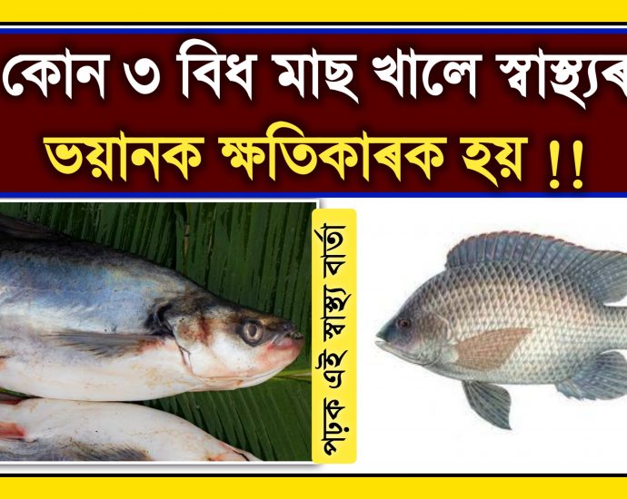 THESE THREE TYPES OF FISH ARE HARMFUL FOR HEALTH