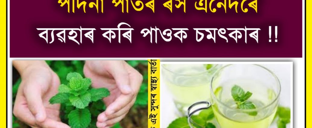 healthy mint leaf is best for acne pimples