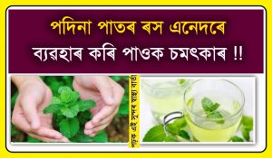 healthy mint leaf is best for acne pimples
