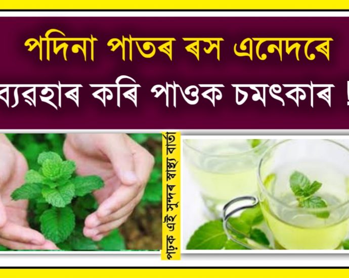 healthy mint leaf is best for acne pimples