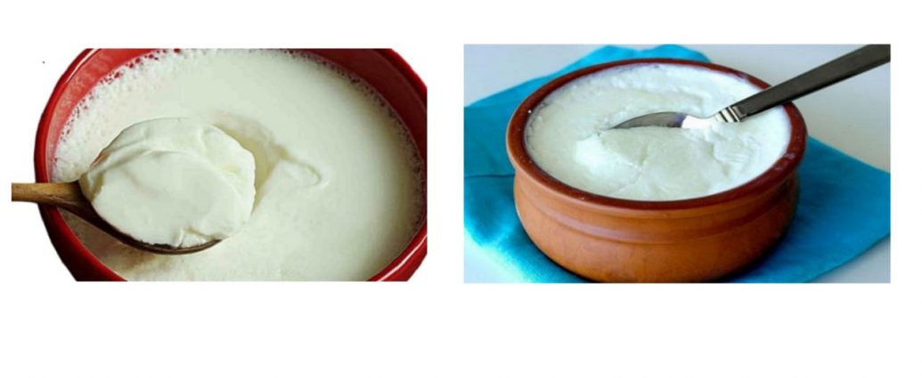 CURD CONTROL CHOLESTEROL, CANCER AND HEART DISEASES