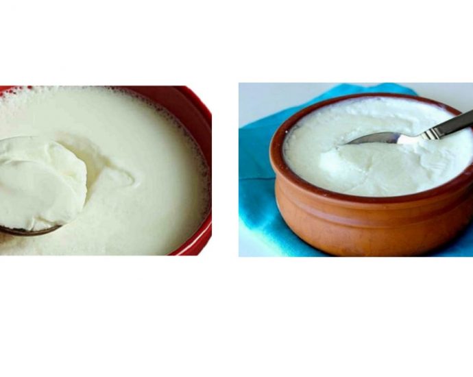 CURD CONTROL CHOLESTEROL, CANCER AND HEART DISEASES