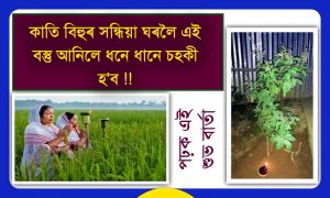 GIVE WORSHIP IN PADDY FIELD TO BE RICH AND WEALTHY