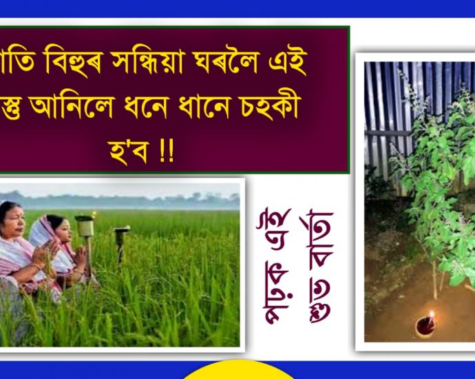 GIVE WORSHIP IN PADDY FIELD TO BE RICH AND WEALTHY