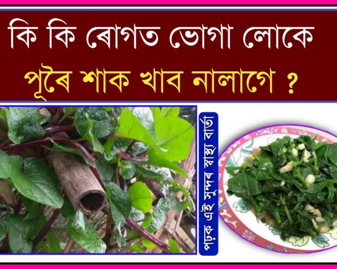 MALABAR SPINACH HEALTH BENIFITS