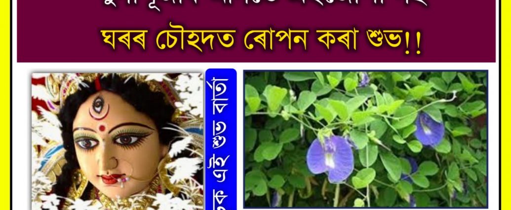 plant a blue plant before durga puja to get more blessings