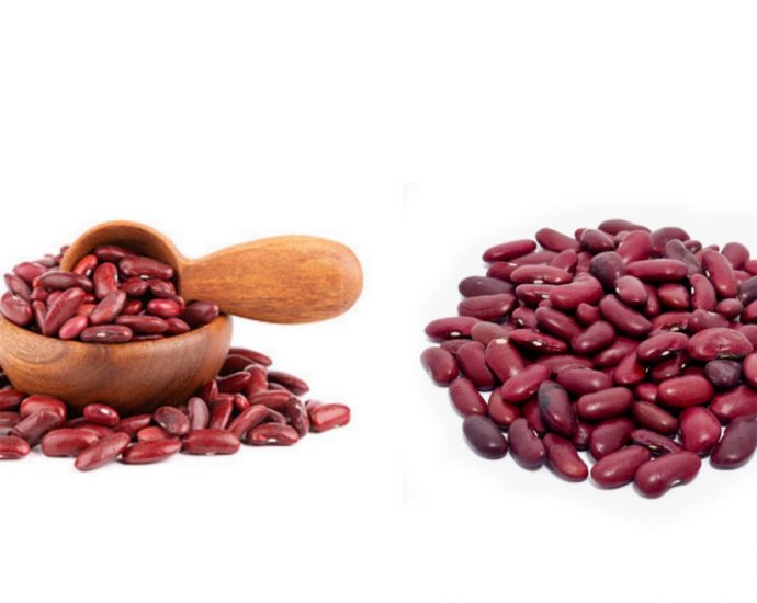 HEALTH BENEFITS OF RED KIDNEY BEAN