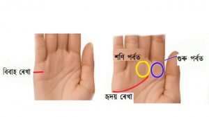 your hand lines remarks your love and marriage