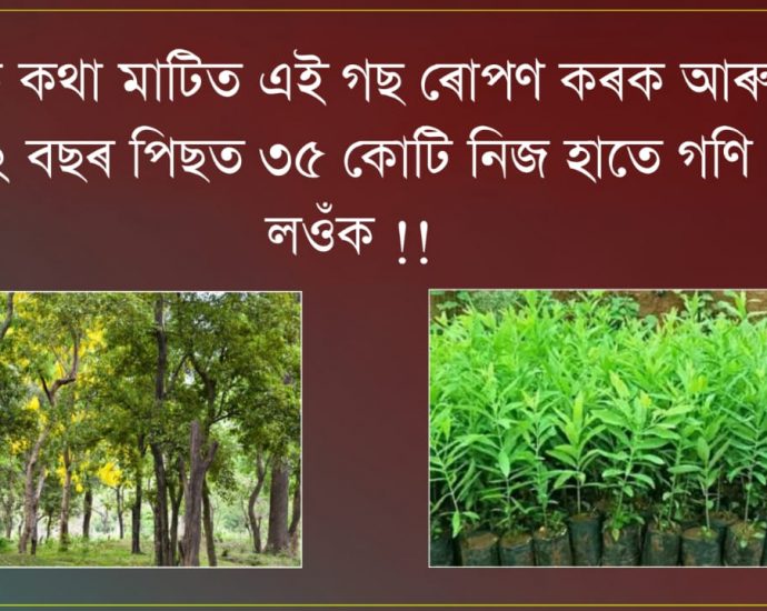 Costly Sandalwood farming tips